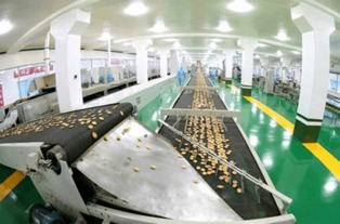金正恩視察平壤食品工廠 夸贊國產設備像美男子