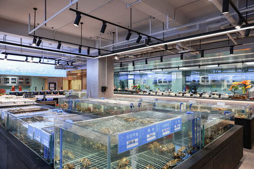 五星級酒店自助餐區圖片素材下載 食品餐飲素材下的中國菜系圖片素材