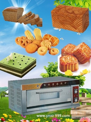 紅外線食品烘爐價(jià)格 廠家 昆明烘爐 曲靖烘爐 烘爐那里有賣